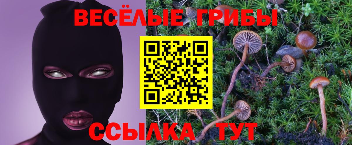 Майский  Псилоцибиновые грибы ЛСД  Вход с VPN 